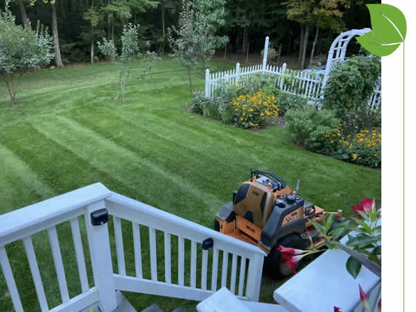 Lawn Aeration Services
