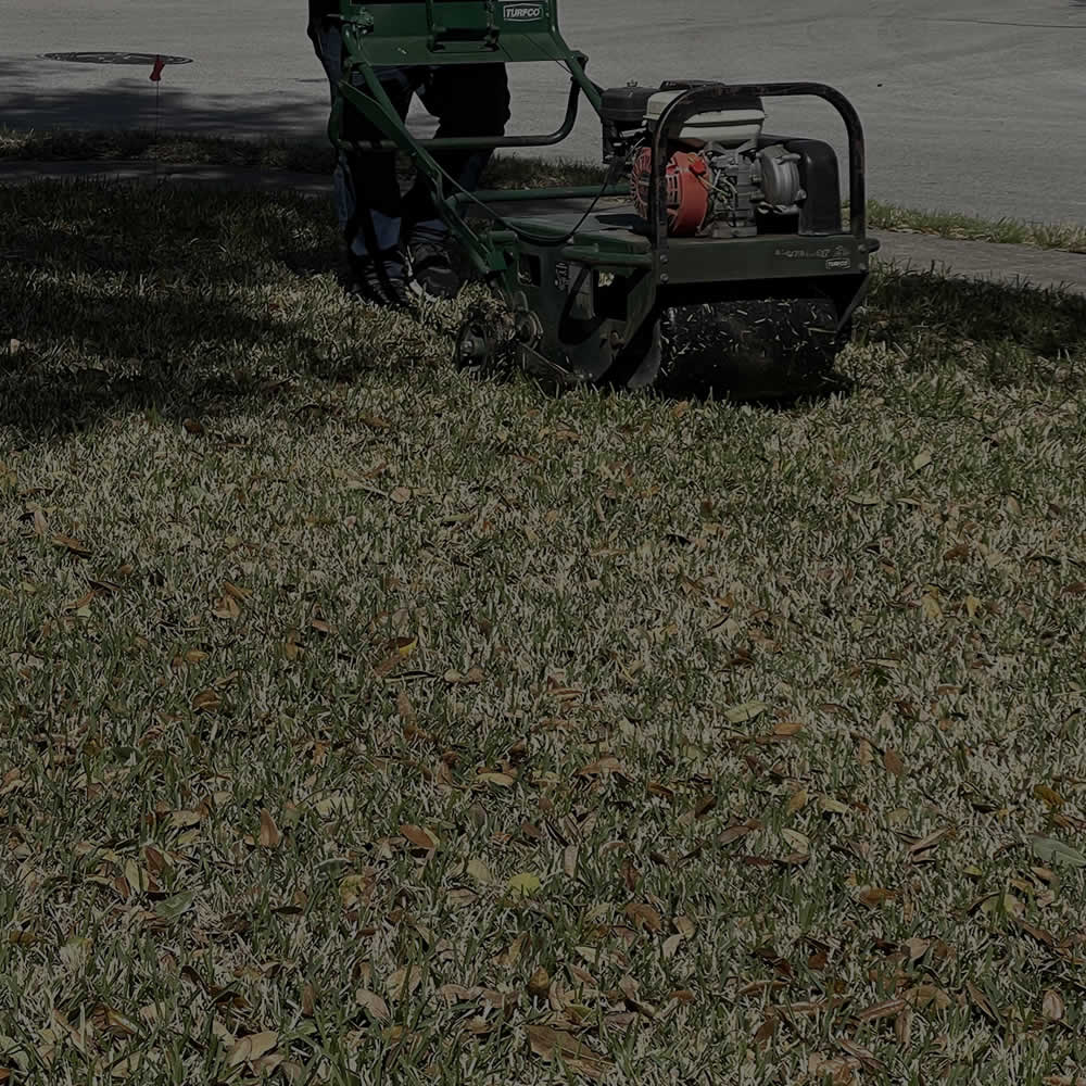 Lawn Aeration Services