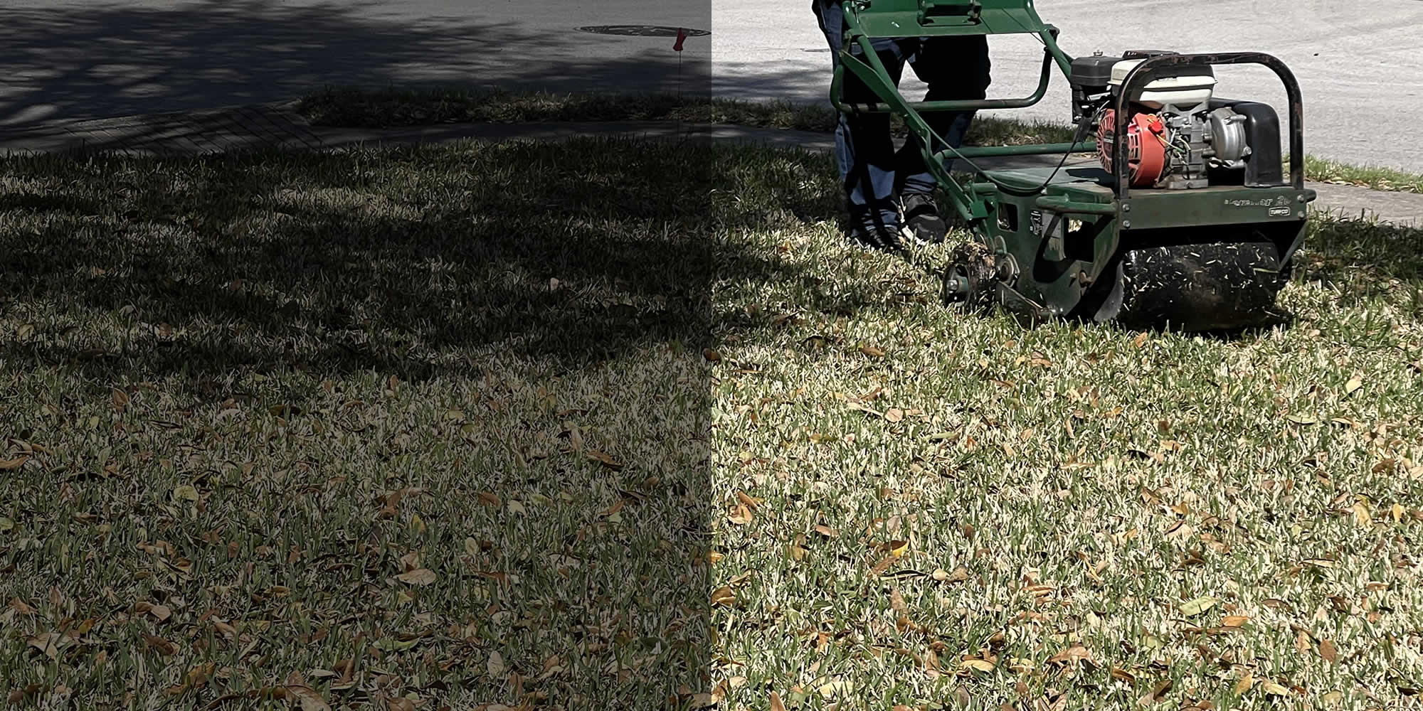 Lawn Aeration Services