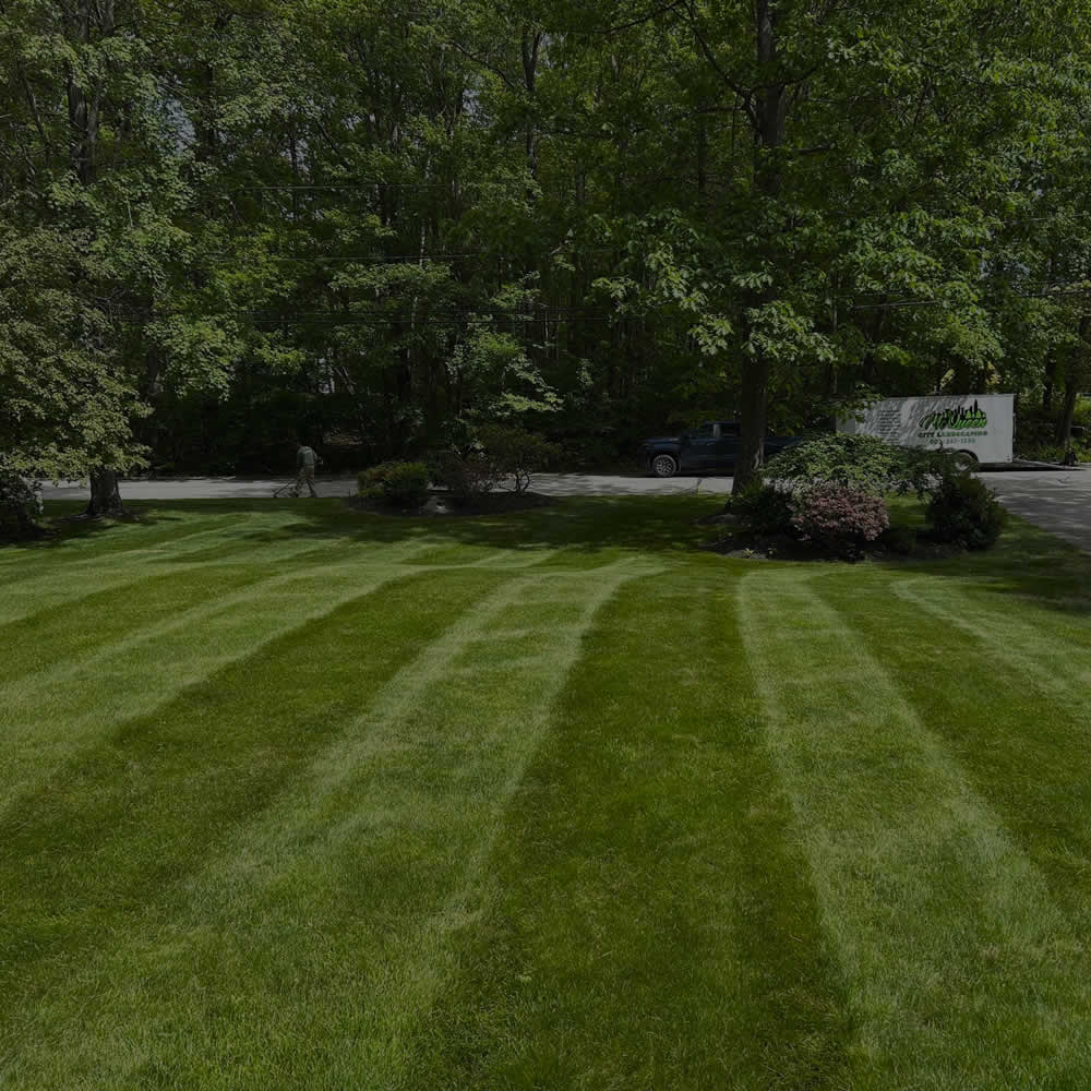 Lawn Mowing Services