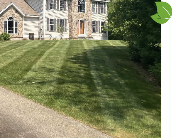 Overseeding and New Lawn Installation Services