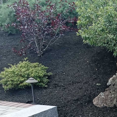 Service - Commercial Mulch Installation