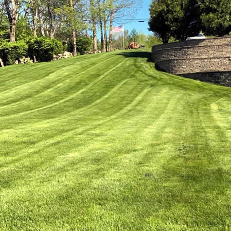 Service - Commercial Spring and Fall Cleanup