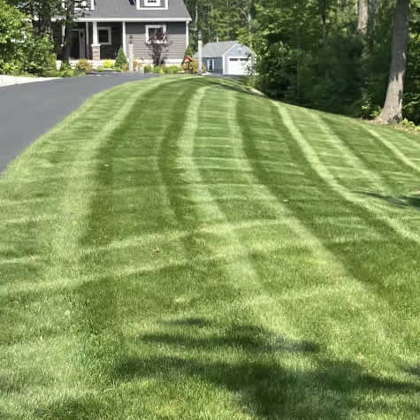Service - Lawn Mowing & Lawn Maintenance